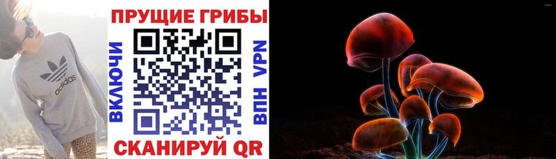 Псилоцибиновые грибы Magic Shrooms  Ряжск 